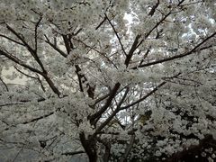 -江南大学(蠡湖校区)