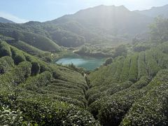 -龙坞茶村