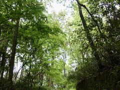 -虎跑公园