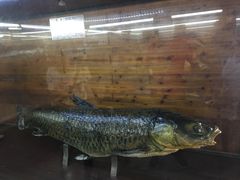 -南京金牛湖风景区