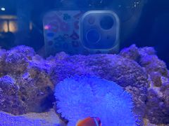 -邯郸海洋世界