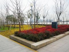 -南外滩