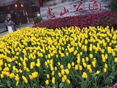 -忠山公园