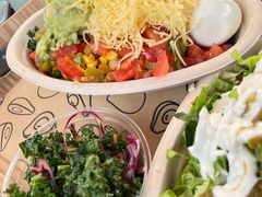 -油梨树AVOCADO TREE(顺义新国展店)