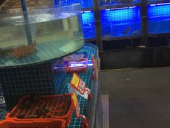 -徽珍源(龙茗路店)