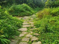 -张坝桂圆林公园