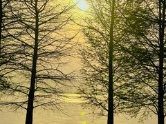 -苏州湾体育公园