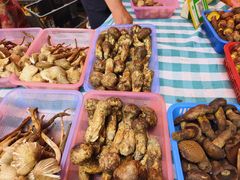 -五里多农博广场