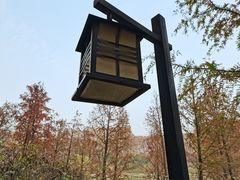 -河南省黄河迎宾馆