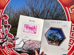 -香雪海