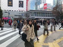 -涩谷全向十字路口