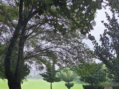 -莲花山公园