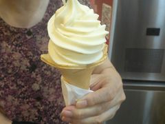豆浆冰淇淋-永和大王(长寿路店)