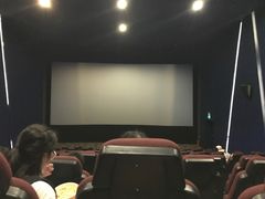 -嘉华国际影城(学清路店)