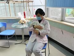 -田螺阿姨自营月嫂·育儿嫂(高新店)