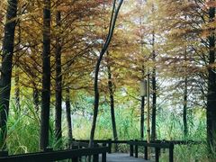 -梁鸿国家湿地公园