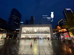 -Apple零售店(成都太古里店)