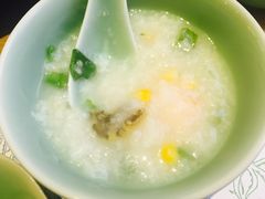 -海桐