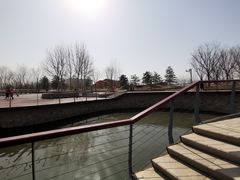 -东郊湿地公园