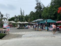 -厦门园林植物园-植物园滴水山房