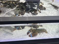 -永辉超市(龙湾万达店)