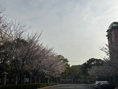 -永乐路-路侧停车场