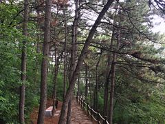 -阳台山自然风景区