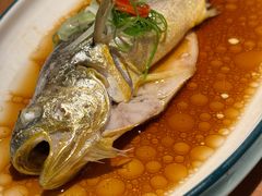 油泼黄花鱼-波螺油子·海肠捞饭·青岛菜(银座店)