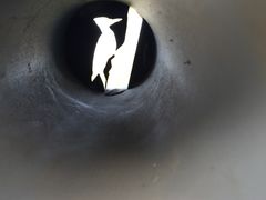 -白鹭湾湿地公园