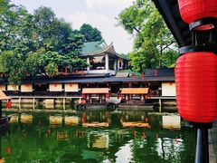 -侨美·唐荔园·40年地道粤菜