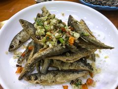 -全乐鱼馆·淳牌有机鱼直营店