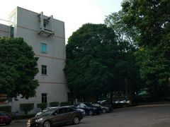 -南宁良凤江国家森林公园