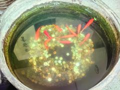 -到家尝北京菜(西坝河店)