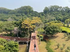 -立新湖公园