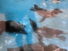 -帝企鹅自助餐厅•儿童岛•真企鹅(长隆企鹅酒店)