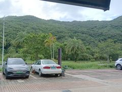 -钱大妈海鲜饭店(保利林语店)