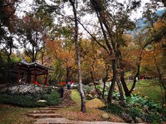 -广州市石门国家森林公园