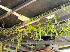 -野蔓果·山野菜(西湖景区·龙井茶田店)