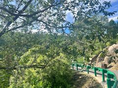 -白水寺森林公园