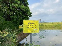 -光明小镇欢乐田园