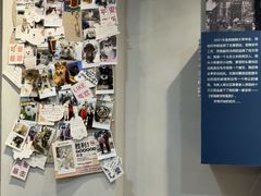 -伟伟宠物医院·CT影像中心·瑞派犬猫综合性门诊(汉口总院)