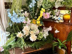 -知物癖(牛王庙店)