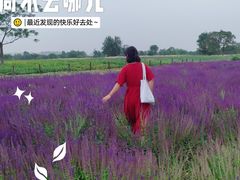 -汉长安城未央宫国家考古遗址公园