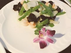 -云中小雅