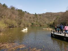 -天目湖山水园
