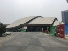 -合肥大剧院