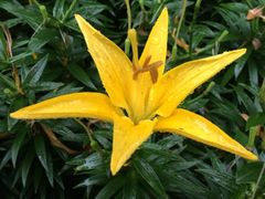 iphone_upload_pic-蠡湖中央公园