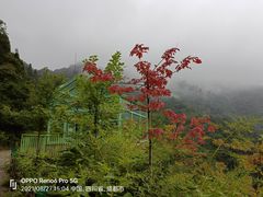 -太阳湾风景区