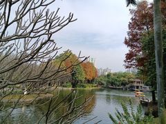 -晓港公园