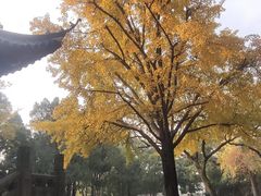 -汇龙潭